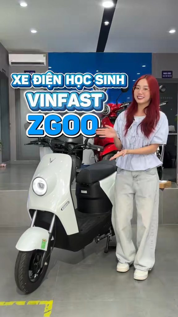 Trải nghiệm VinFast ZGOO